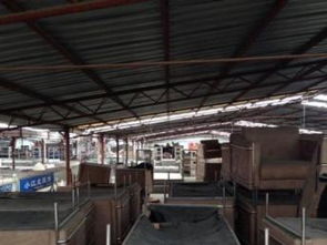 上海二手沙发市场热潮 家纺与家具如何依托本地生产链实现消费闭环